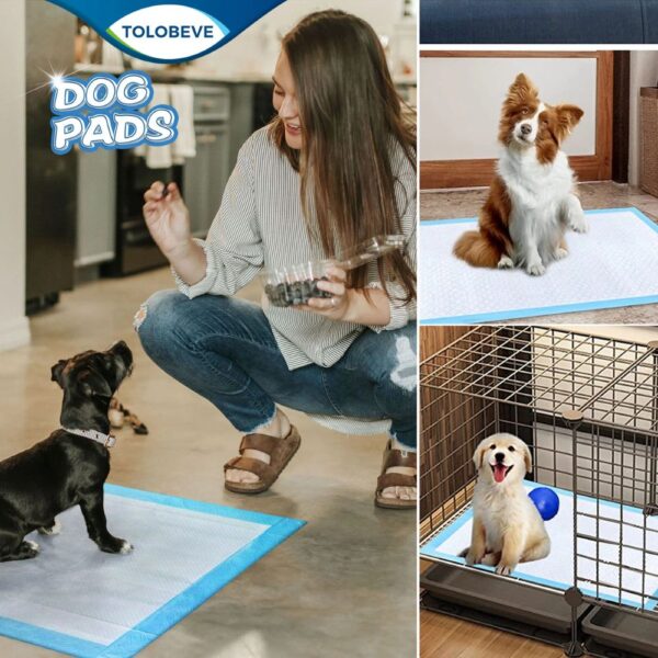 100 Small Dog Training Pads - Image 2