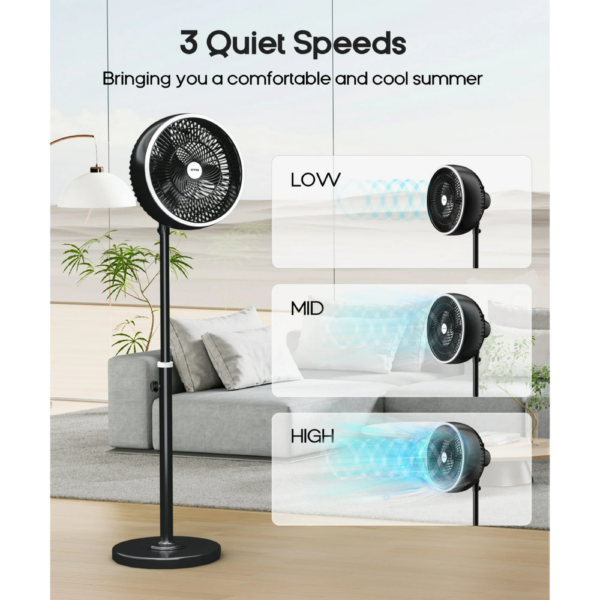 Floor Fan with Oscillation