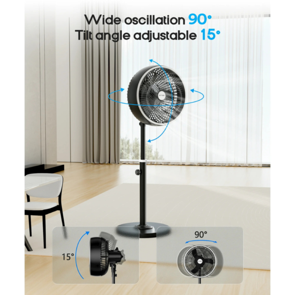 Oscillating Pedestal Fan